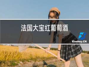 法国大宝红葡萄酒