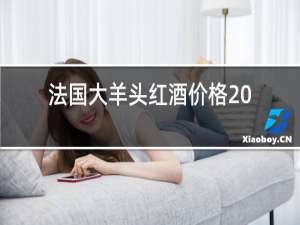 法国大羊头红酒价格2015年的