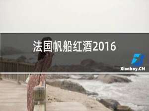 法国帆船红酒2016