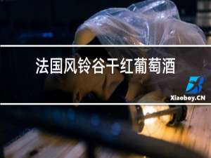 法国风铃谷干红葡萄酒