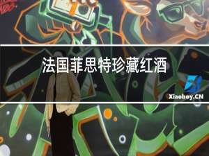 法国菲思特珍藏红酒