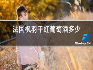 法国枫羽干红葡萄酒多少钱