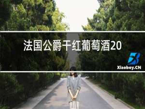 法国公爵干红葡萄酒2011