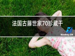 法国古藤世家70珍藏干红葡萄酒