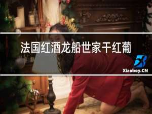 法国红酒龙船世家干红葡萄酒