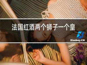 法国红酒两个狮子一个皇冠中间M