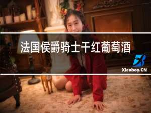 法国侯爵骑士干红葡萄酒