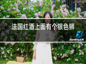 法国红酒上面有个银色狮子