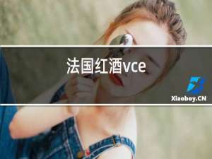 法国红酒vce