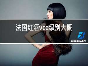 法国红酒vce级别大概多少钱一瓶