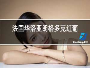法国华洛亚朗格多克红葡萄酒