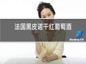 法国黑皮诺干红葡萄酒