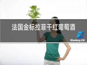 法国金标拉菲干红葡萄酒