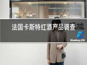 法国卡斯特红酒产品调查分析