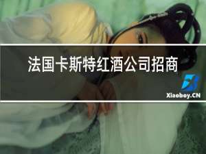 法国卡斯特红酒公司招商