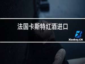 法国卡斯特红酒进口