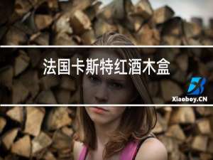 法国卡斯特红酒木盒
