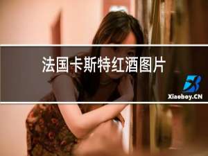 法国卡斯特红酒图片