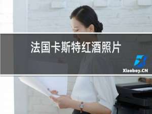 法国卡斯特红酒照片