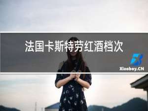 法国卡斯特劳红酒档次