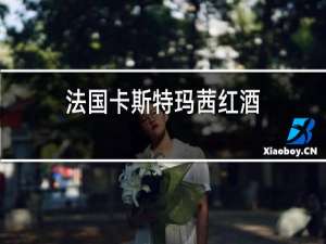 法国卡斯特玛茜红酒