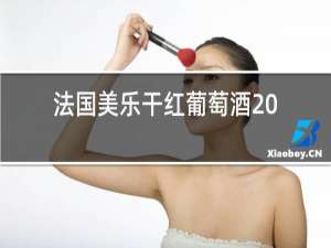 法国美乐干红葡萄酒2013多少钱钱