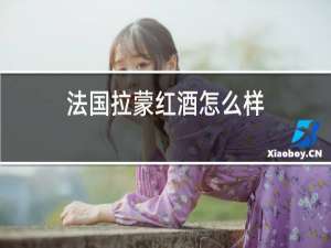法国拉蒙红酒怎么样