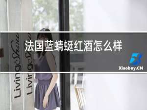 法国蓝蜻蜓红酒怎么样