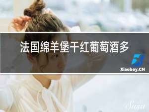 法国绵羊堡干红葡萄酒多少钱一瓶