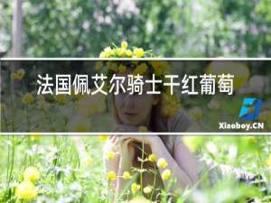 法国佩艾尔骑士干红葡萄酒