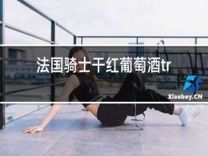 法国骑士干红葡萄酒triomphe