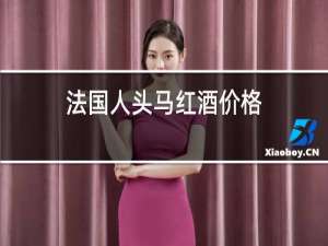 法国人头马红酒价格