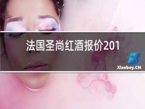 法国圣尚红酒报价2014