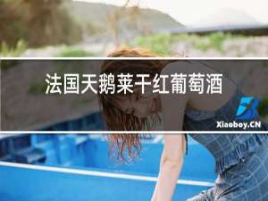 法国天鹅莱干红葡萄酒