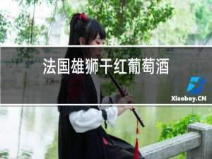 法国雄狮干红葡萄酒
