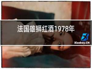 法国雄狮红酒1978年