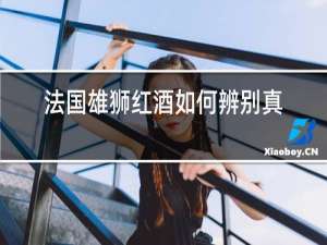 法国雄狮红酒如何辨别真伪