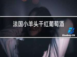 法国小羊头干红葡萄酒