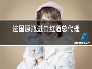 法国原瓶进口红酒总代理