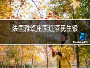 法国雅颂庄园红酒民生银行