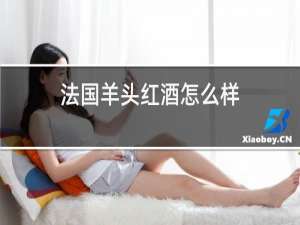 法国羊头红酒怎么样