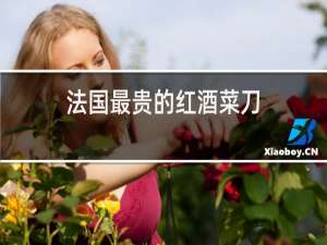 法国最贵的红酒菜刀