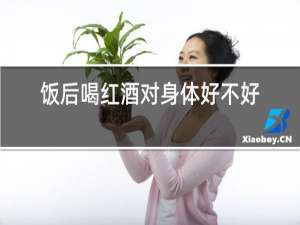 饭后喝红酒对身体好不好