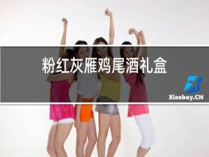 粉红灰雁鸡尾酒礼盒