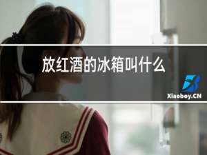 放红酒的冰箱叫什么