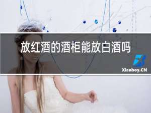 放红酒的酒柜能放白酒吗