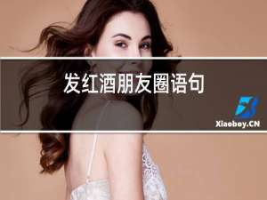 发红酒朋友圈语句