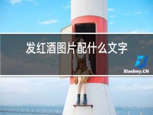 发红酒图片配什么文字