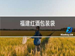 福建红酒包装袋