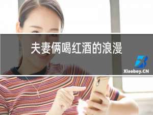 夫妻俩喝红酒的浪漫
